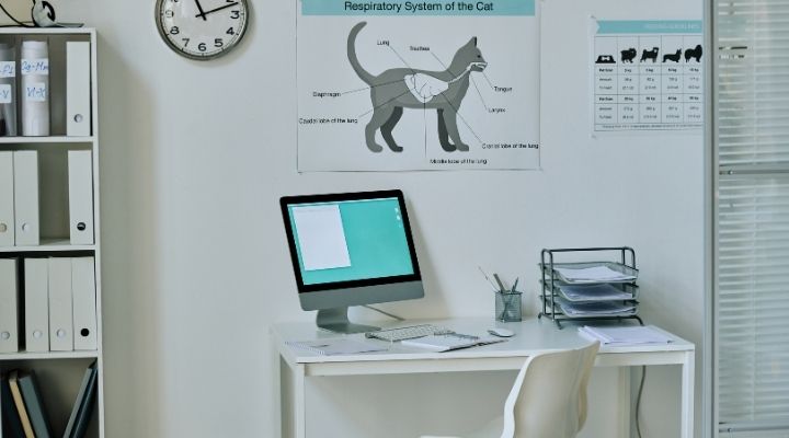 The Role of Technology at ветеринарная клиника VetCityPets