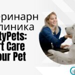 ветеринарная клиника VetCityPets