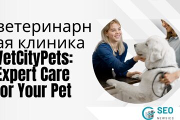 The Ultimate Guide to Choosing ветеринарная клиника VetCityPets for Your Pet’s Care