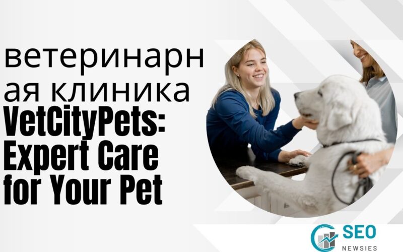 ветеринарная клиника VetCityPets